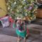 Colby
