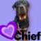 Chief